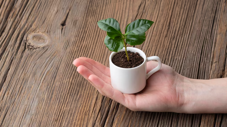 7 Powerful Ways to Boost Plant